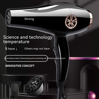2025 nouveau Style 2000W puissant haute vitesse séchage rapide professionnel sèche-cheveux outils de Style de cheveux avec lumière bleue hôtel ménage