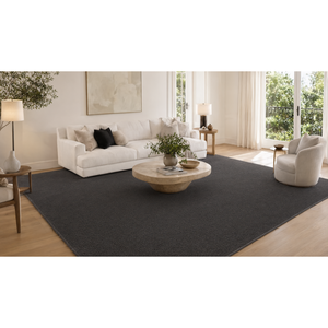 Petra Vivaldi 900095 Anthrazit Polypropylen Teppich 4 mm Florhöhe Haustierfreundlich Hochbelastbarer Teppich für Wohnzimmer Flur - Product Image 2