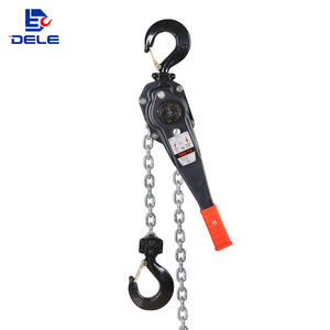 Fabricant de machines à chaînes de levage certifiées CE et ISO, équipement de levage de grue de 0,75 tonne, accepte les OEM et ODM - Product Image 1