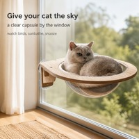 Hamac pour chat en bois à ventouse pour fenêtre, capsule spatiale transparente, lit pour chat à fixer sur fenêtre
