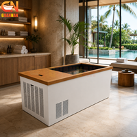 Bain froid de spa avec refroidisseur, en bois et acier inoxydable, pour hôtels, complexes hôteliers et projets de bien-être