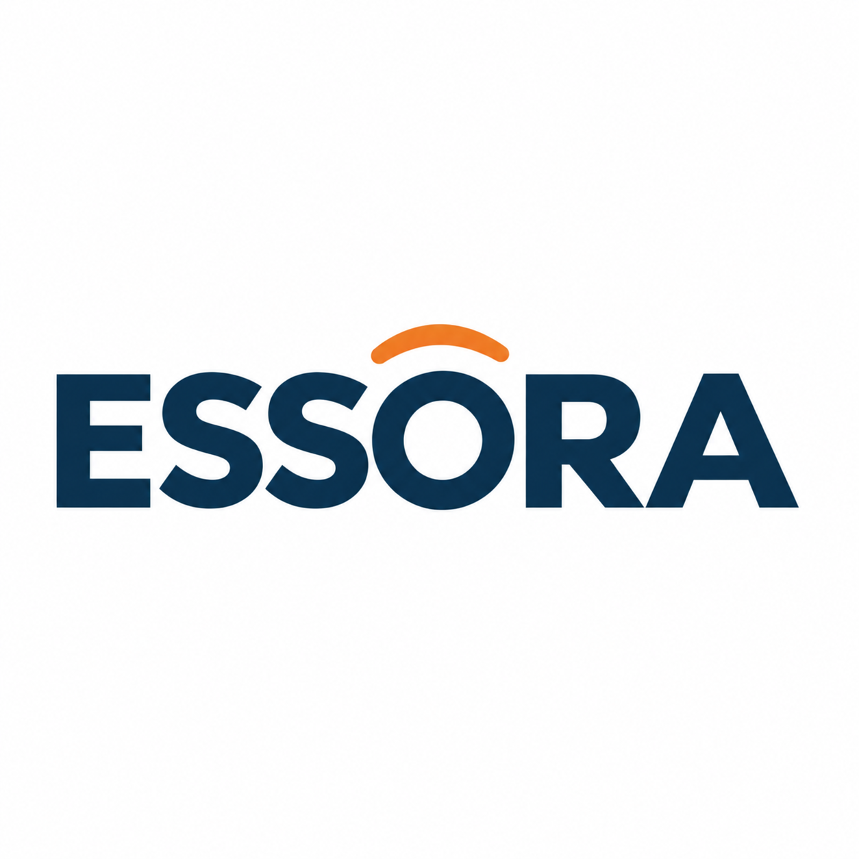 Essora (Beijing) Cultural Creative Co., Ltd. logo