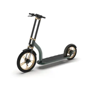 Scooters électriques motorisés de 36V 350W avec les roues avant de la batterie au lithium 16AH LFPO4 Digital Smart Type