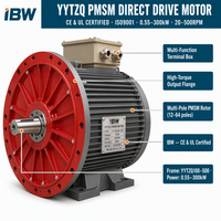 Moteur à aimant permanent à entraînement direct 0,55-300 kW, faible vitesse, couple élevé, 380 V 60 Hz, PMSM industriel pour réacteur de mélange et tour de refroidissement