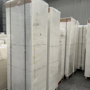 Usine chinoise produisant des feuilles de papier pour gobelets en papier de 150 g/m² à 350 g/m² - Product Image 6