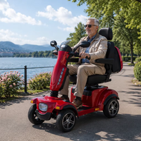 Scooter électrique haut de gamme R5SE pliable à 4 roues pour parcs, jardins et utilisation en extérieur