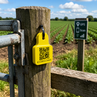Nouvelle étiquette d'oreille intelligente en TPU pour ferme avec solution RFID et capteur de température pour la gestion du bétail