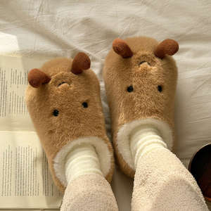 Huevo escalfado invierno hogar felpa Mujer estudiante interior pequeña patata lindo transpirable cálido antideslizante bolsa suela gruesa ropa exterior - Product Image 4