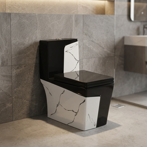 WC en céramique décorative indienne monobloc avec réservoir encastré, chasse d'eau siphonique à double débit, toilettes allongées pour projets - Product Image 2