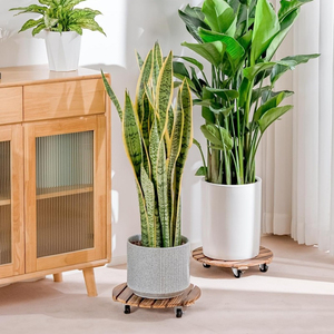 Ensemble de 2 chariots à plantes ronds en bois, robustes, avec <span class=keywords><strong>roulettes</strong></span> verrouillables à 360 degrés pour plantes en pot d'intérieur et d'extérieur - Product Image 3