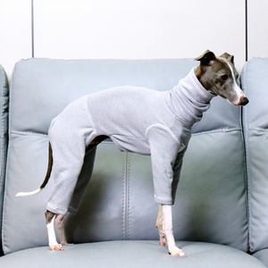 Camiseta para Perro de Cuatro Patas, para <span class=keywords><strong>Galgo</strong></span> Italiano XXL, Suave, Elástica, Delgada, de Poliéster, para Todas las Estaciones, CHOUCHOU-28 - Product Image 4