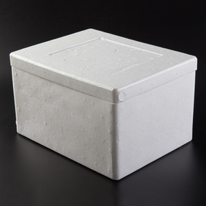 Thân Thiện Với Môi Bọt Ủ Hộp Thực Phẩm Và Trái Cây Tươi Giữ Lạnh Poly Dài EPS Hộp Bọt Bao Bì - Product Image 3