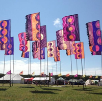 Günstige hochwertige große Festival Flaggen benutzer definierte gedruckte Logo Außenwerbung Festival Flag Banner