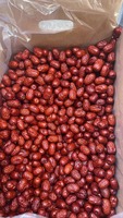 Pasokan Pabrik Kurma Merah Manis Berkualitas Tinggi Buah Kurma Kering untuk Camilan dan Teh