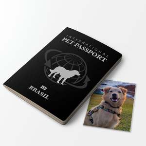 Passaporto Personalizzato per Campeggio Estivo, Libro Passaporto Personalizzabile per Bambini, Vendita all'Ingrosso - Product Image 6