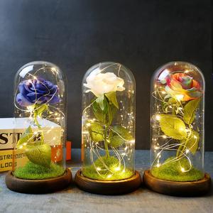 Lampada a Forma di Rosa in Cupola di Vetro, Rose di Seta Blu Artificiali con Luce LED, Regalo per Compleanno, Matrimonio, Anniversario, San Valentino - Product Image 1