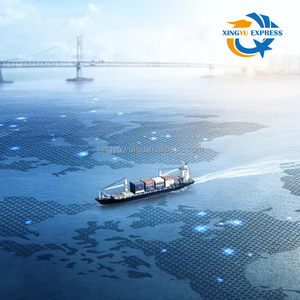 Không Khí Vận Chuyển Hàng Hóa Giao Nhận Cửa Đến Cửa Ddp Đại Lý Vận Chuyển Từ Trung Quốc Đến Ý Đức Pháp - Product Image 4