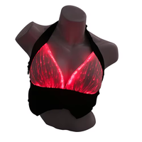Sous-vêtements de soutien-gorge à fibres optiques lumineuses pour femmes lumière LED Costume de danse du ventre arabe sexy pour les fêtes