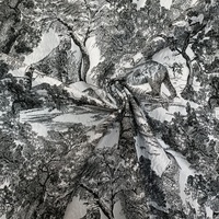 Neues Design New-Chinese Vintage Style Hochpräzise Schwarz Weiß Tier muster Jacquard Blackout Stoff für Kleidung