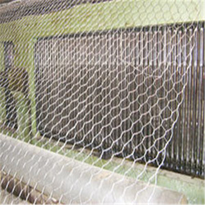 2 Inch Sáu Phương Gia Cầm Lưới Mạ Kẽm Gà Dây Lưới Hàng Rào 20 Đo - Product Image 6