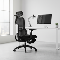 Chaise ergonomique intelligente et réglable en maille avec support lombaire dynamique, structure en plastique, style exécutif, garantie 3 ans pour la maison moderne