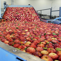 Kant-En-Klare Oplossing Appelsap Productielijn Appeljam Verdunningslijn Appelconcentraat Machine