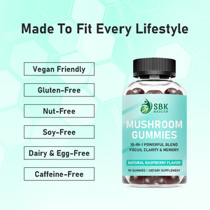 High Quality Mushroom Gummies 10 In 1 Blend for Adults Brain Mood Cognitive Health Mushroom Mood Relaxation Lions Mushroom - Product Image 4