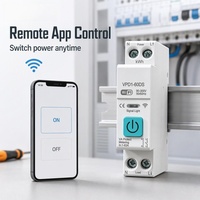 Disjoncteur intelligent WiFi Tuya APP avec contrôle vocal, mesure de l'énergie en temps réel, rail DIN, petite taille 1P+N 90-300V 1-63A
