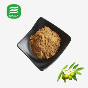 オリーブリーフエキス粉末有機オリーブリーフエキスオレウロペイン10% ~ 70% - Product Image 4