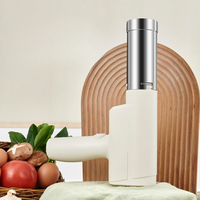 Presse à pâtes électrique portable à chargement sans fil à prix réduit petite machine à pâtes électrique en acier inoxydable