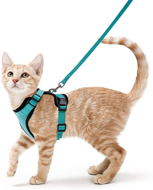 Green Harness+Leash