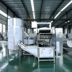 Máquina Freidora Automática Industrial de Malla Transportadora para <span class=keywords><strong>Chicharrón</strong></span> y Piel de Cerdo - Product Image 2