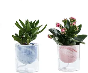 Vaso di fiori variopinto ceramico del vaso di fioriera d'irrigazione autoassorbente dell'interno dei Semi idroponici all'ingrosso per la decorazione del bagno
