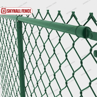 Valla de malla con forma de diamante recubierta de PVC Valla de eslabones de cadena verde para jardín y uso residencial