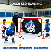 But de hockey, filet de hockey pour les jeunes, entraînement en salle et en extérieur, but de hockey sur glace portable