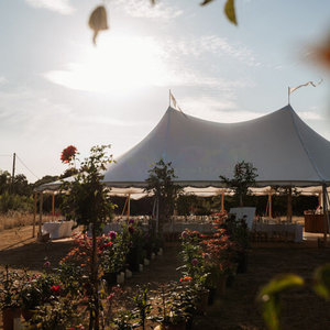 Carpa Compacta Portátil para Bodas con Bolsa de Almacenamiento Fácil de Transportar, Carpas para Eventos, para Bodas en Casa Pequeña, Fiestas en el Jardín - Product Image 6