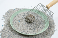Litière pour chats en bentonite en forme de boule, service OEM ODM personnalisable en usine, sans poussière, vente en gros