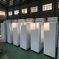 Congélateur commercial à température unique Mr Frio, vitrine à glace, sans givre, compresseur Danfoss, deux portes, en acier inoxydable