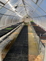 Serre agricole professionnelle en polycarbonate de 8 mm pour la culture, fabriquée par des professionnels