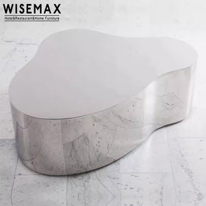 طاولة جانبية فاخرة خفيفة من WISEMAX أثاث، طاولة قهوة معدنية بقاعدة من الفولاذ المقاوم للصدأ ذات شكل غير منتظم لغرفة المعيشة - Product Image 4