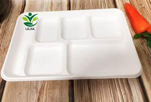 Descartável 100% biodegradável Bagaço De Cana Polpa Bandeja 6 Compostable Food Lunch Box