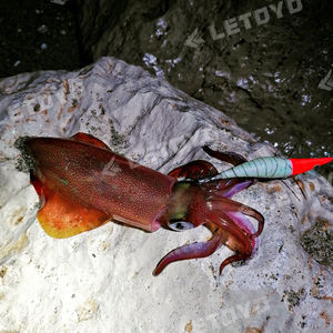 LETOYO Jibioneras para <span class=keywords><strong>Calamar</strong></span> 3.5# 19g/135mm Yamashita <span class=keywords><strong>Yo</strong></span> <span class=keywords><strong>Zuri</strong></span> Señuelos Luminosos Verdes para Pesca - Product Image 6