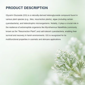<span class=keywords><strong>Soluzione</strong></span> di Gliceril Glucoside ad Alta Purezza 50% / Glicerina Glucoside per Idratazione della Pelle - Product Image 2