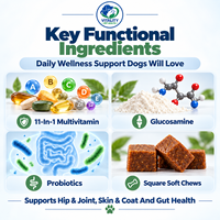 Friandises moelleuses avancées pour chiens pour la santé des articulations, de la peau, du pelage et de l'intestin – Supplément de glucosamine et de MSM – Marque privée OEM ODM