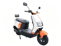 Moto électrique à succès 1000-2000W, cyclomoteur électrique 60V/72V