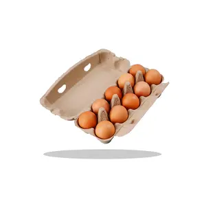 Suppliers 15 /10 Grids Biodegradable Packaging Carton Chicken Egg Moulded Pulp Paper Egg Tray