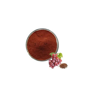 Extracto de Uva Orgánico en Polvo de Alta Calidad, Extracto Puro y Natural de Semilla de Uva, Extracto Herbal de Uva con Textura Consistente - Product Image 4