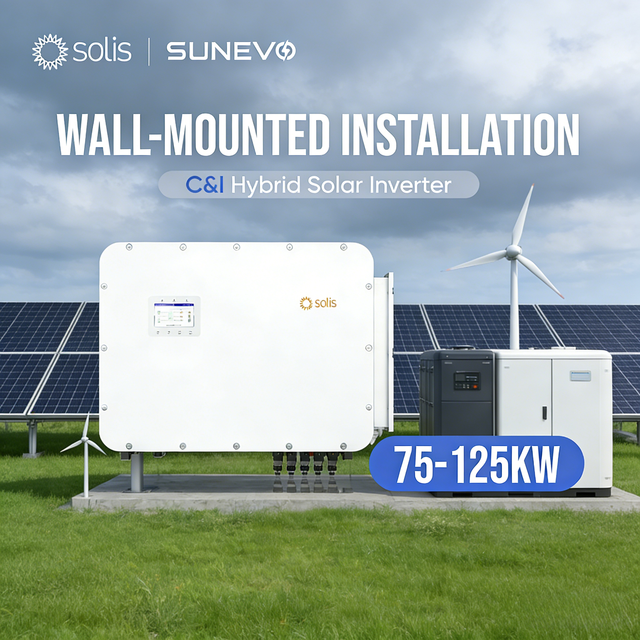 Solis 50Kw Hybrid Solar Storage Inverter 75Kw 80Kw 90Kw 100Kw 125Kw Pv Inverter Compatible With Battery Modules