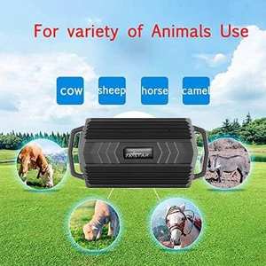 TKSTAR 2G 4G TK935 Traceur GPS <span class=keywords><strong>en</strong></span> <span class=keywords><strong>temps</strong></span> <span class=keywords><strong>réel</strong></span> 3000mah pour le suivi des grands animaux Vache Cheval Bétail Mouton et Chameau Application et PC gratuits - Product Image 4