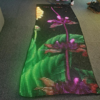 Tapis LED Magique à Pixels, Bannière LED Magique, Écran LED Volant avec Drone, Écran LED Souple pour Drone